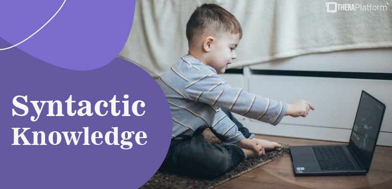 Syntactic Knowledge, what is Syntactic Knowledge