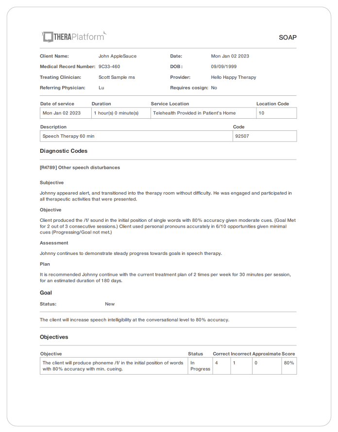 chart note format